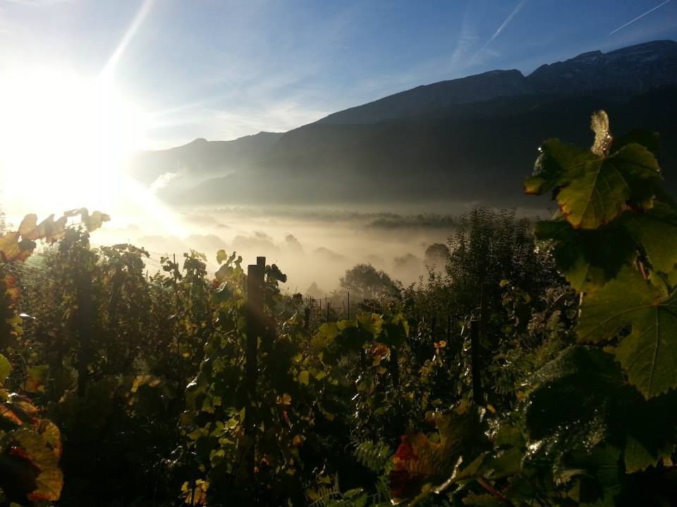 Domaine Montessuit Famille
