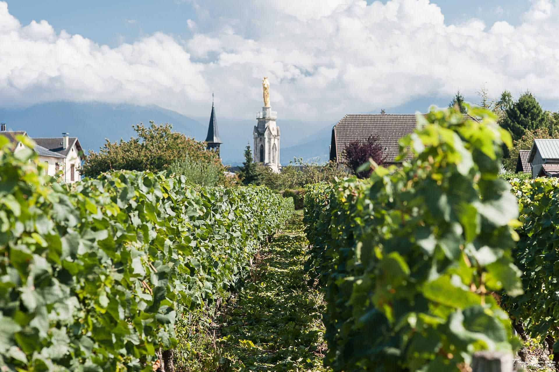 Domaine Ravier Pascal et Benjamin