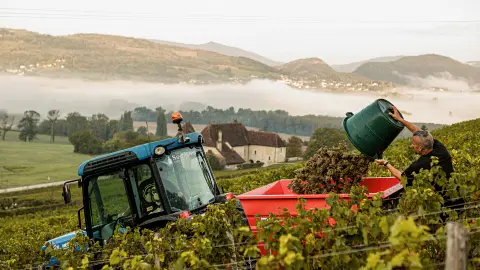 Domaine Saint Romain