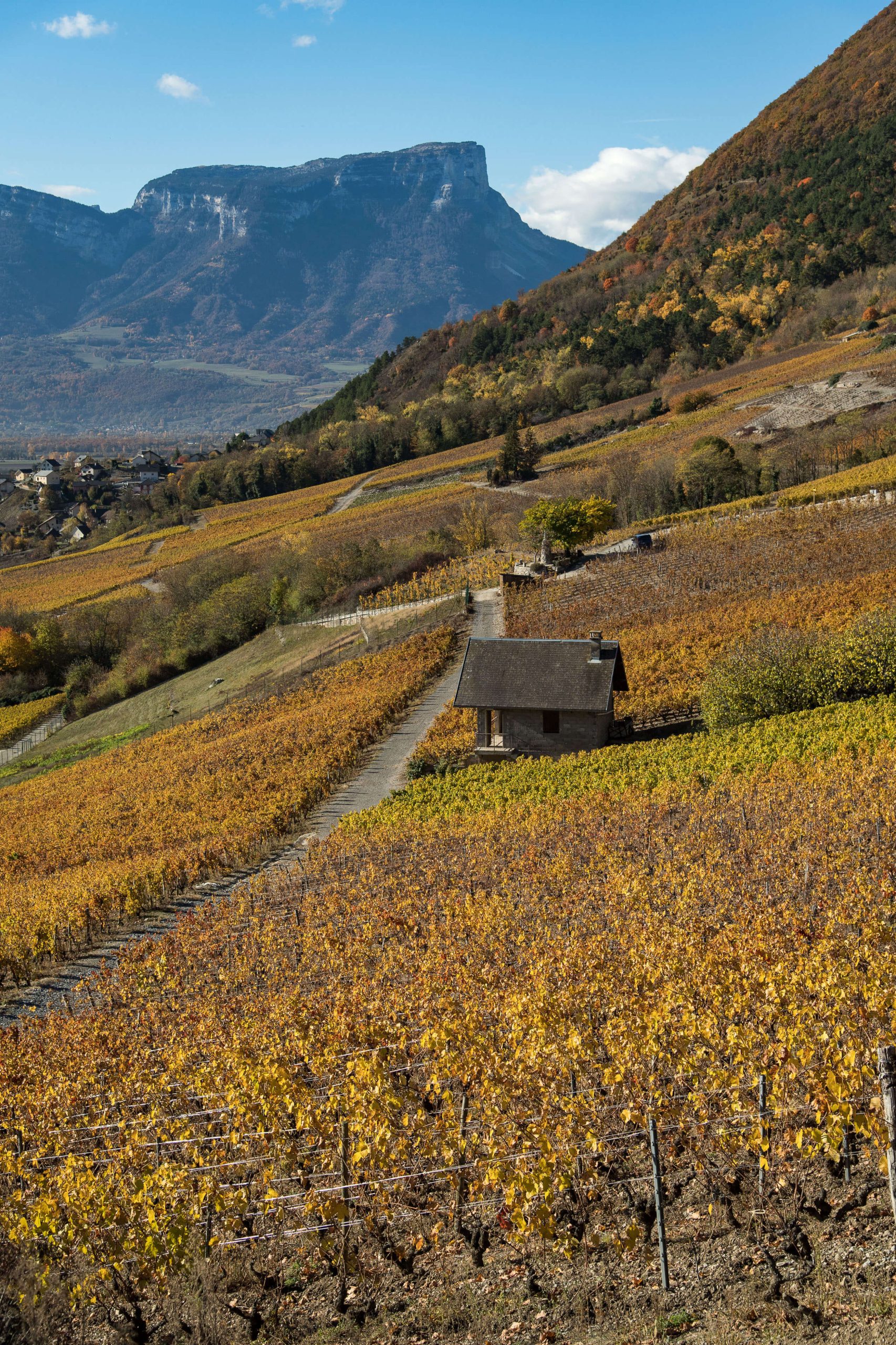 Domaine Trosset