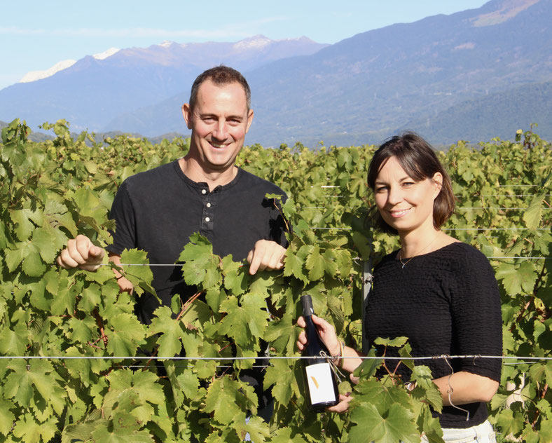 Domaine Vendange