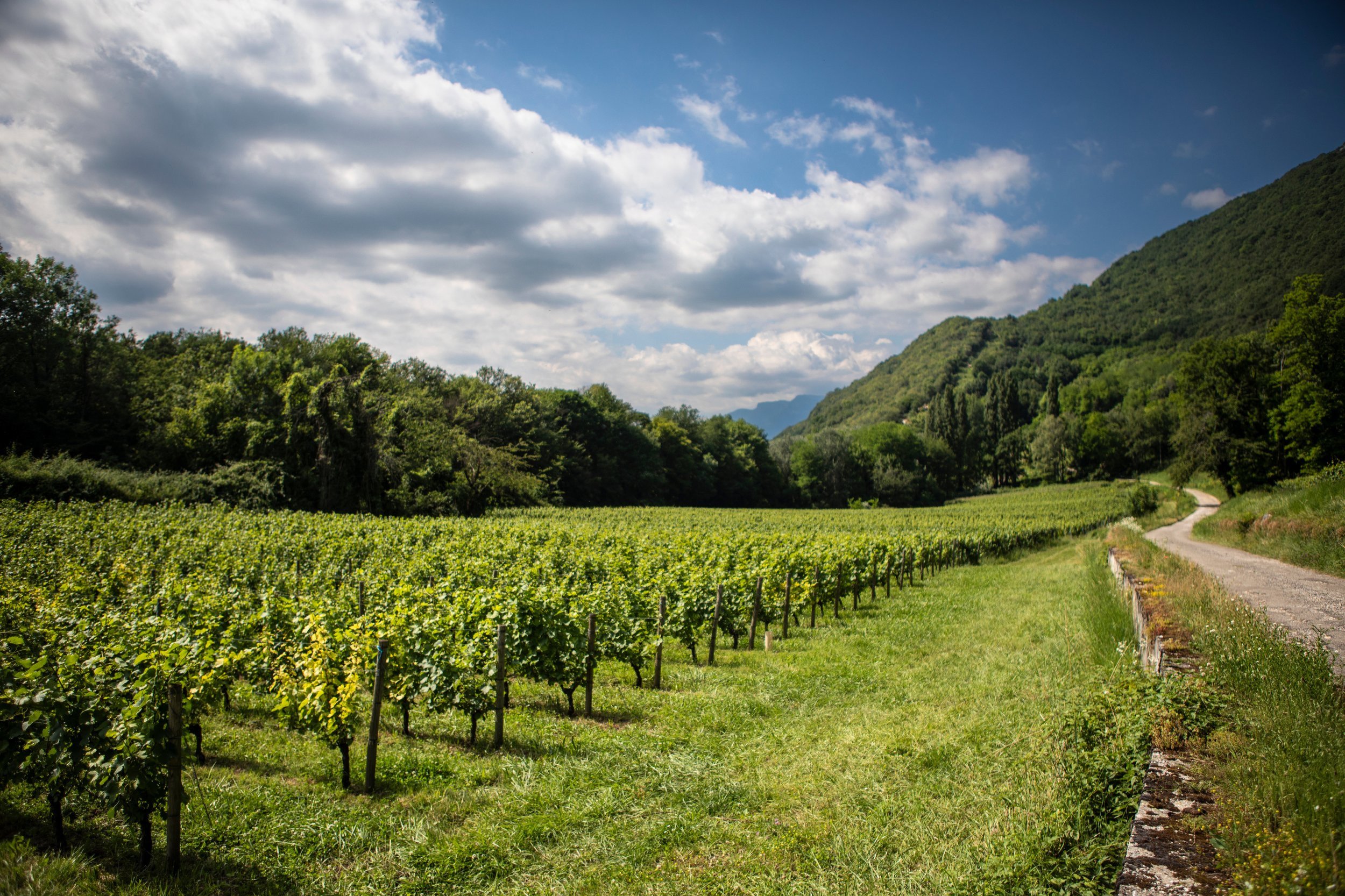Domaine l'Autre Bout du Monde