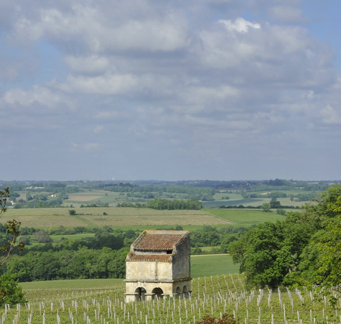 Domaine Villa Dria