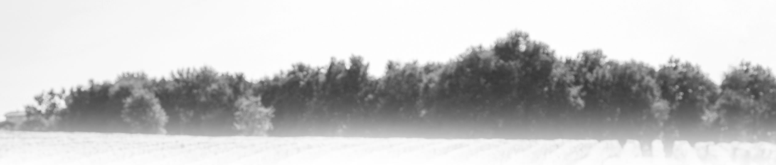 Domaine La Lebe