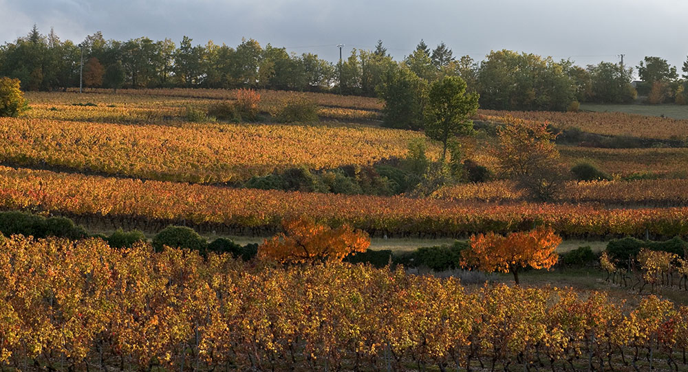 Domaine du Prince