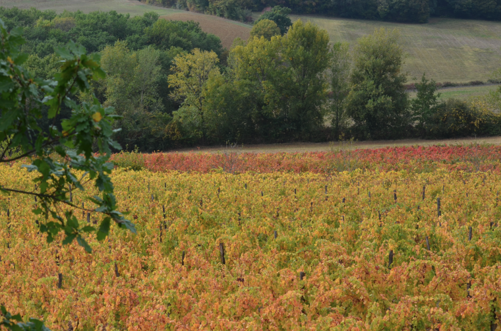 Domaine de Quissat