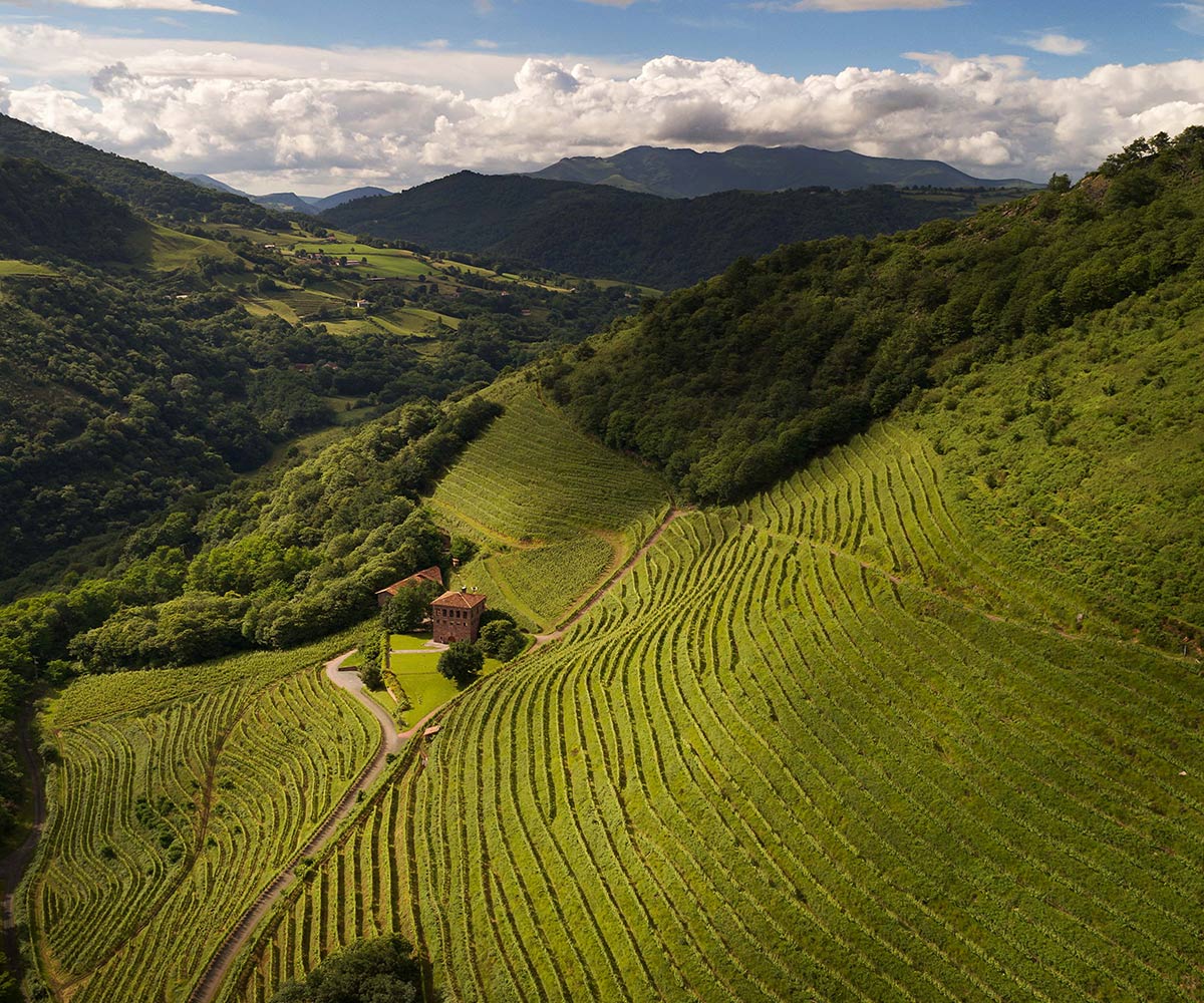 Domaine Brana