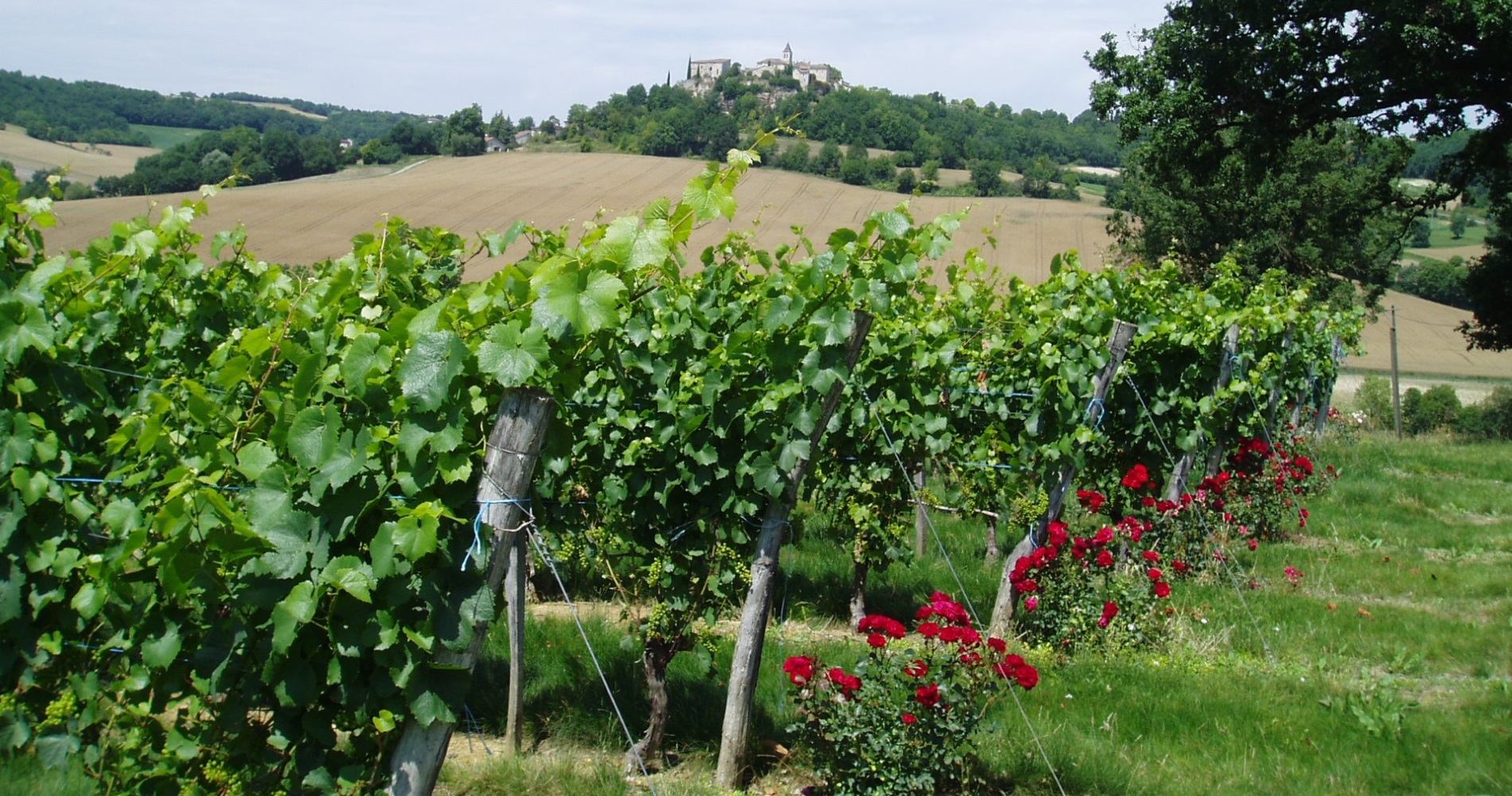 Domaine de Cauquelle