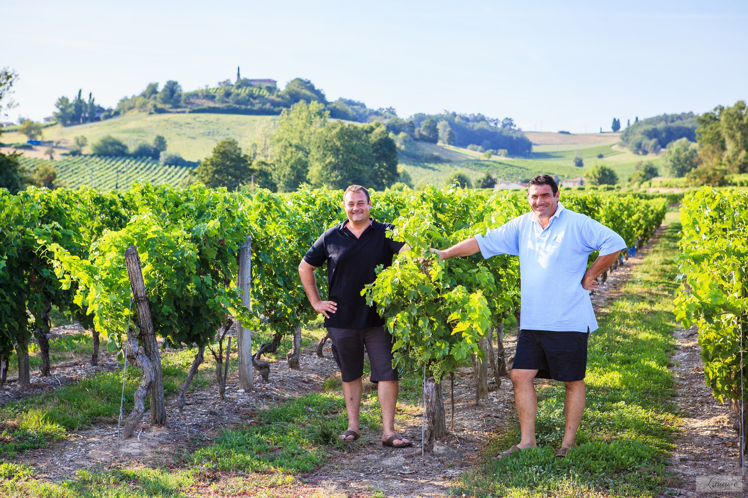 Domaine Sarrabelle
