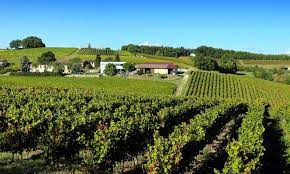 Domaine VAYSSETTE