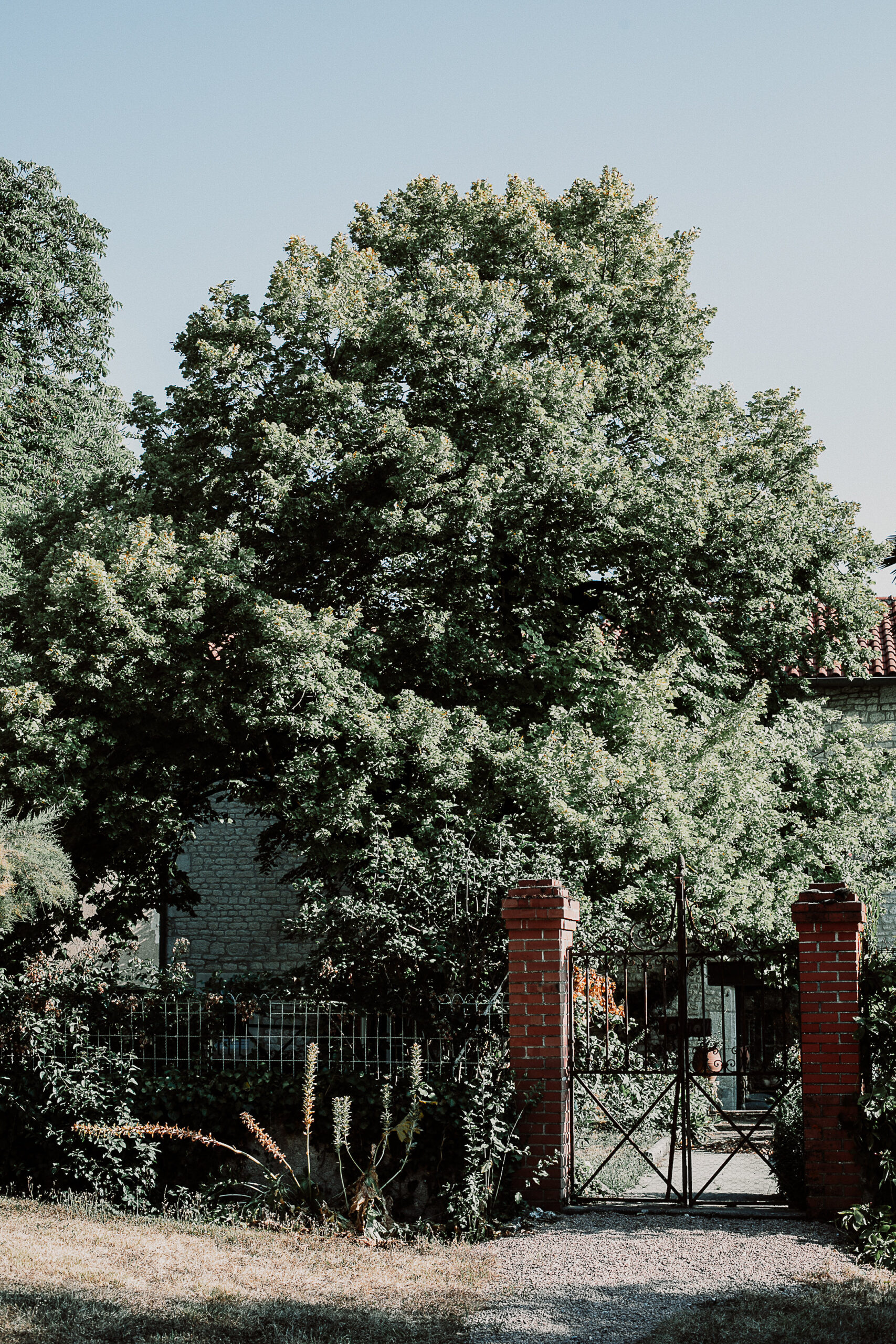Domaine Gayrard