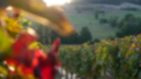 Domaine de l’Oyon