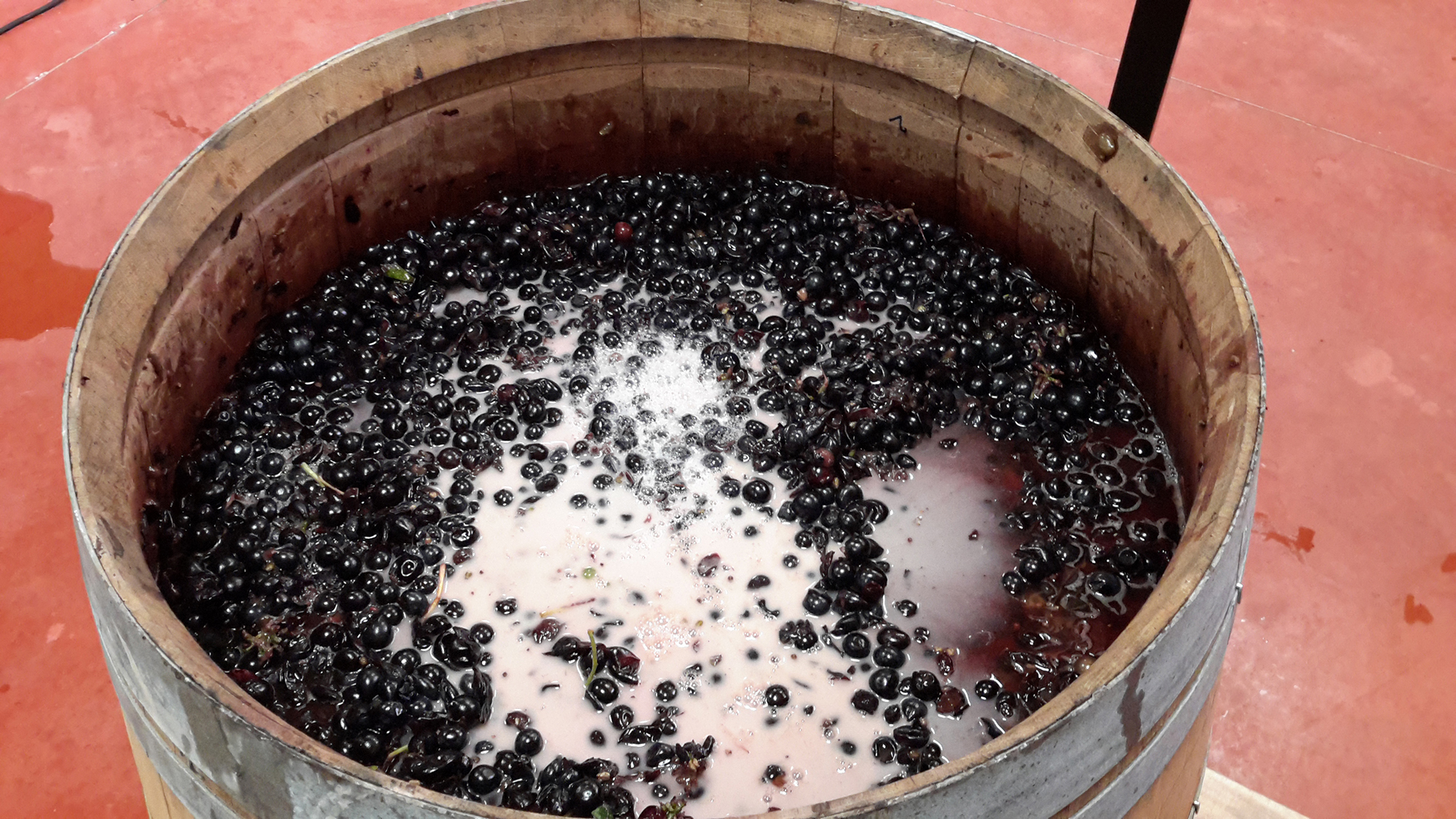 Chateau Balsamine