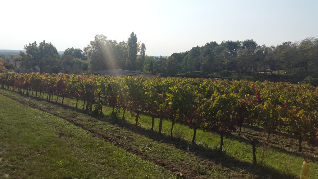 Domaine Bonnet