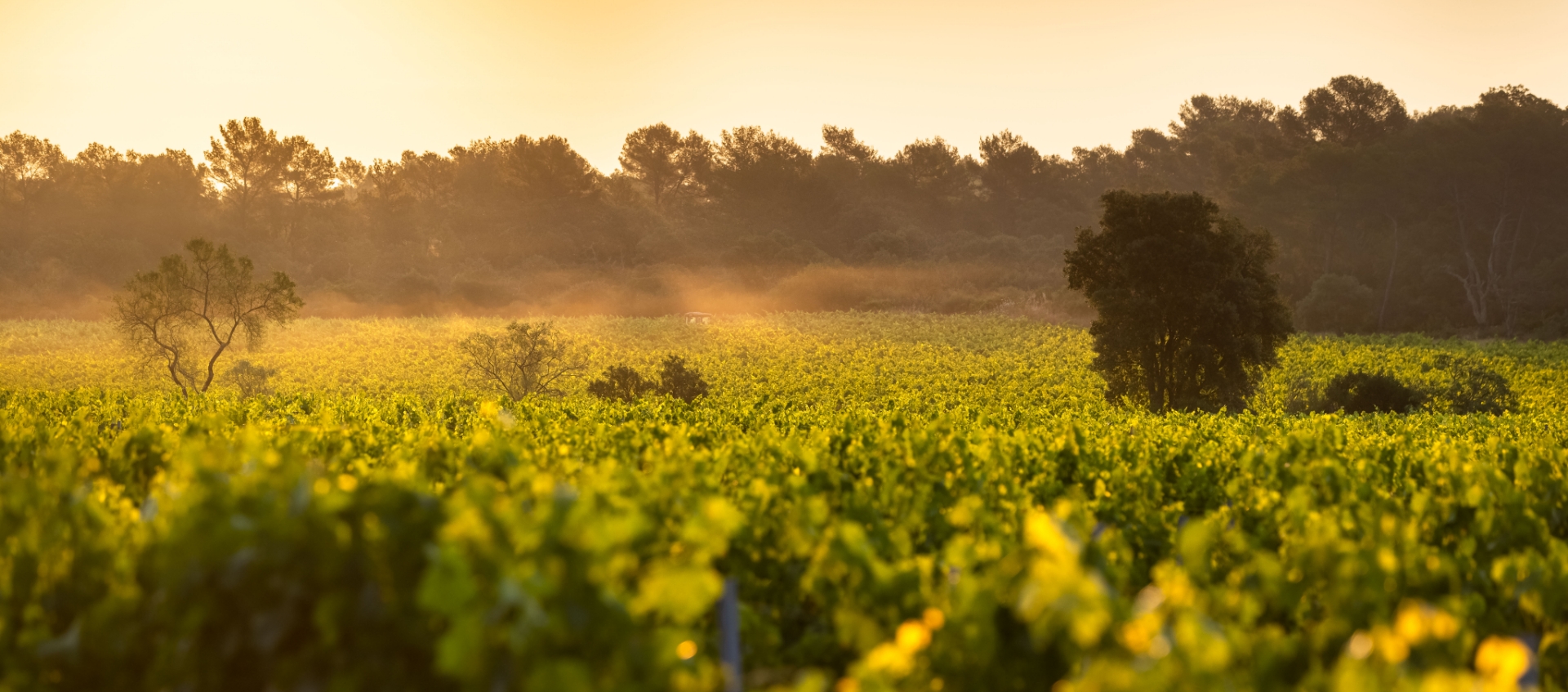 Chateau Demonpere