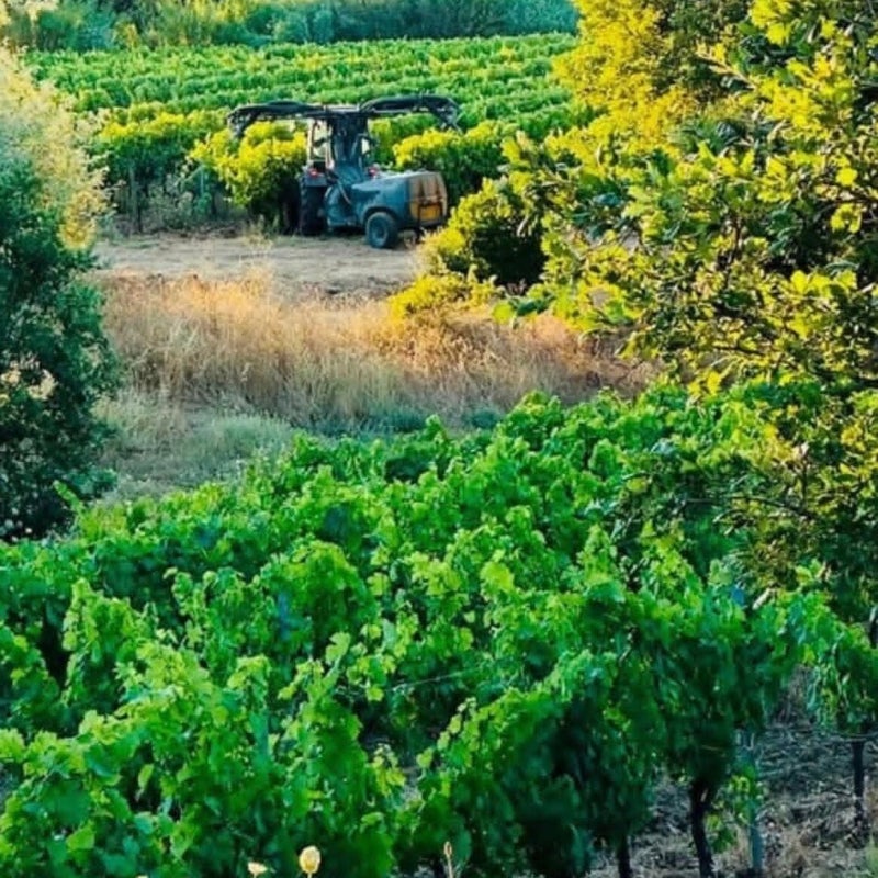 Chateau du Clos de la Lune