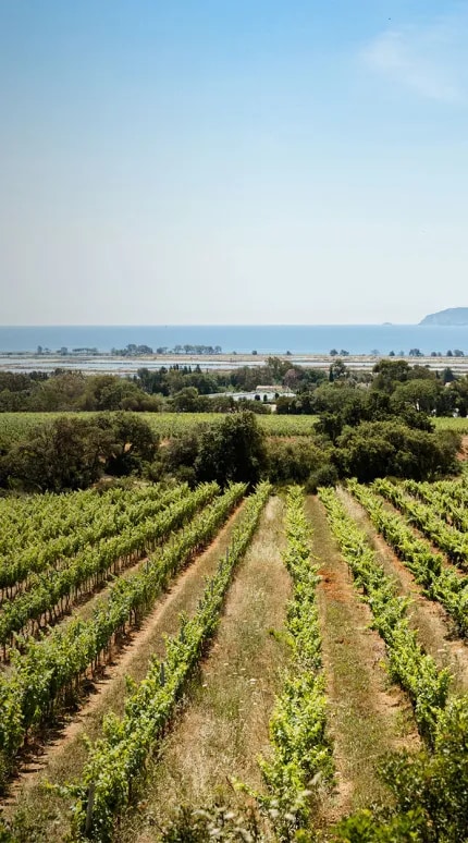 Chateau Galoupet A Le3t