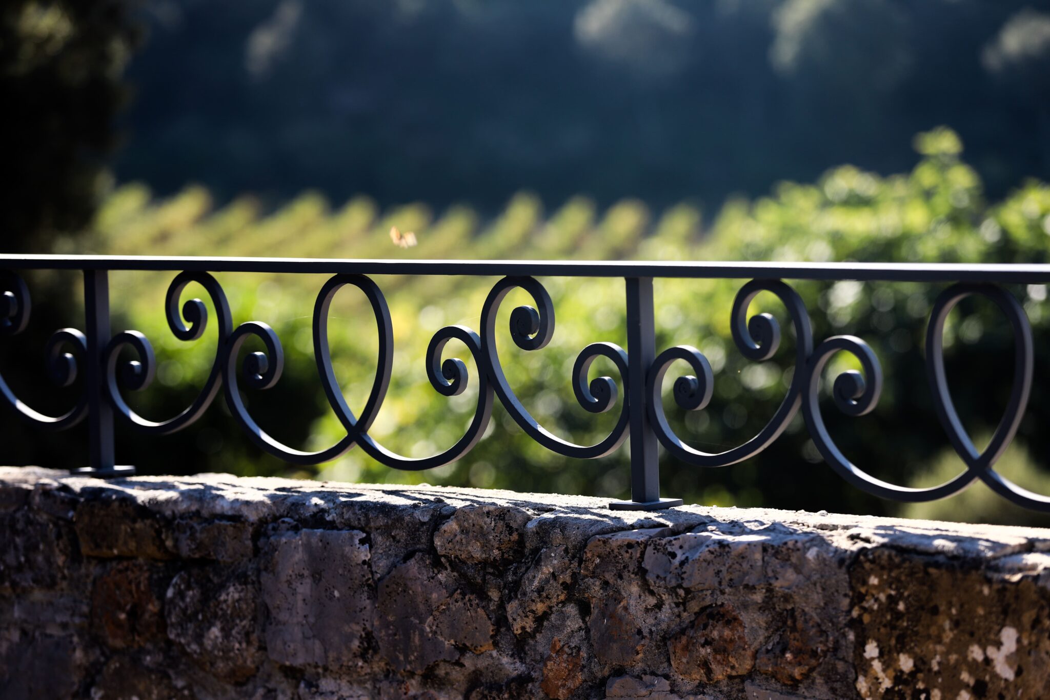 Chateau la Curniere