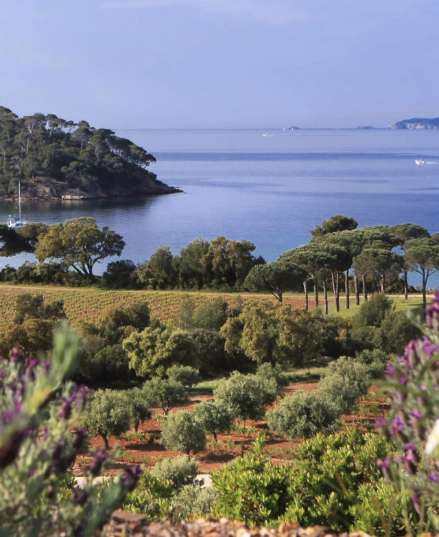 Chateau Leoube