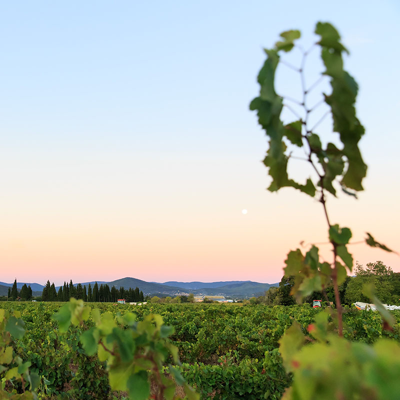 Chateau Peigros