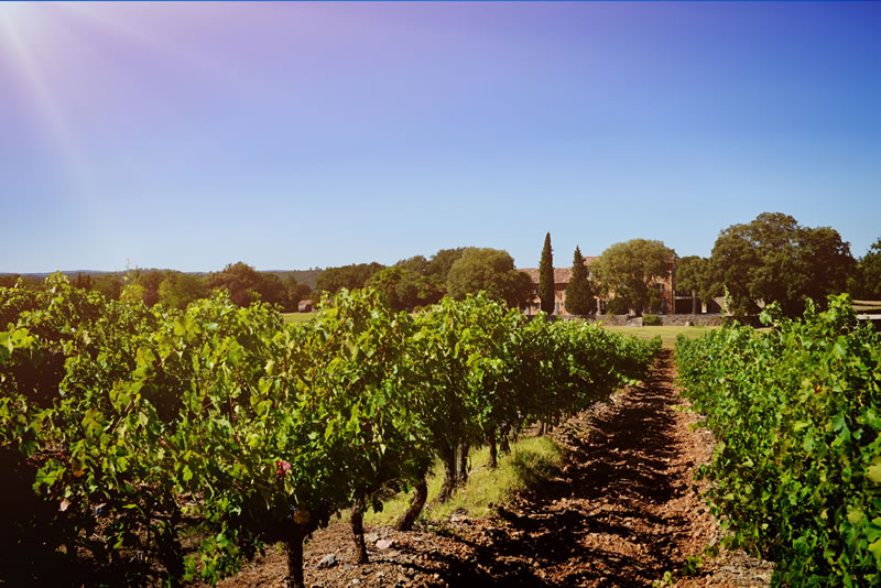 Chateau Routas