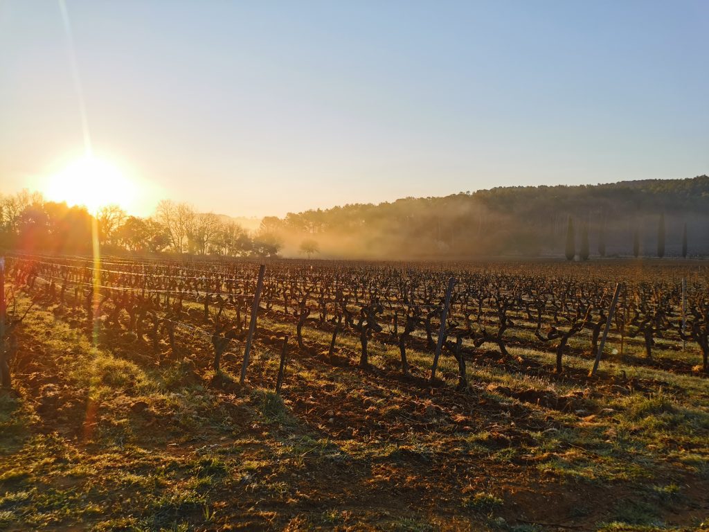 Clos de l'Ours