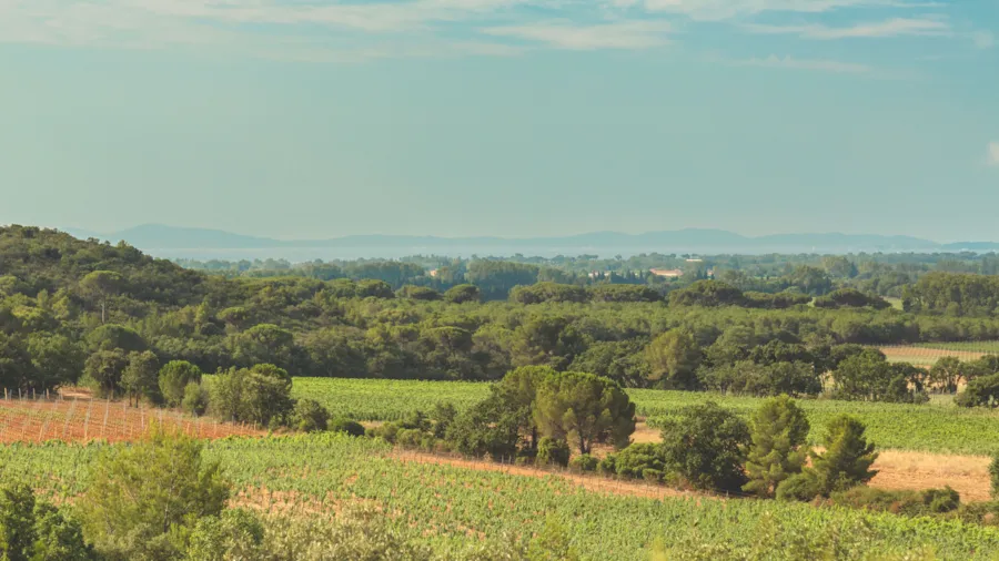 Clos Maguise