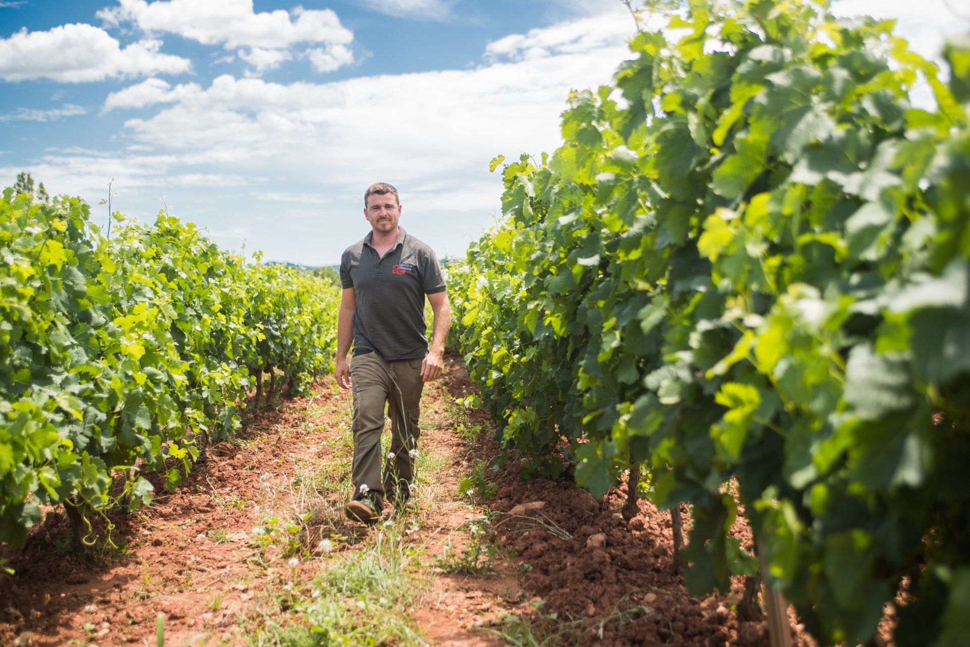 Domaine de l'Allamande