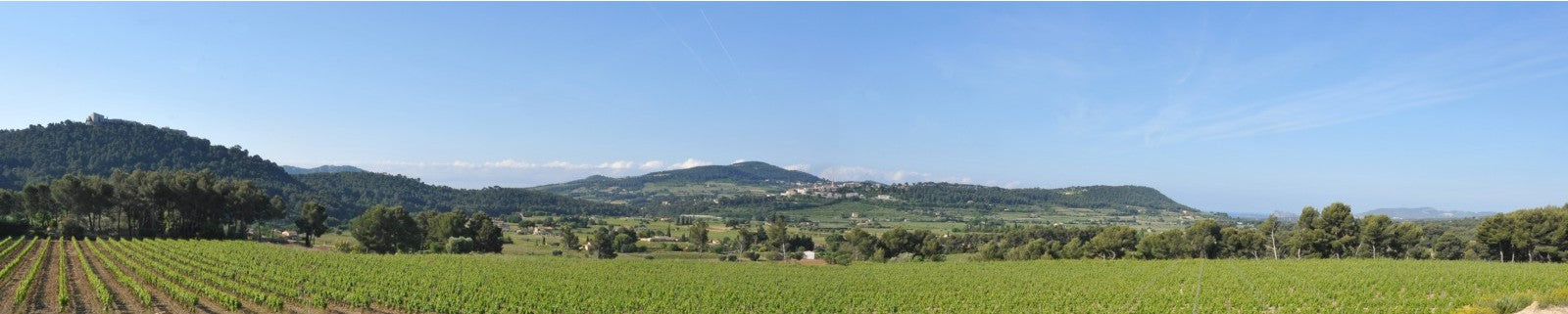Domaine de l'Olivette