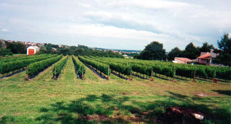 Domaine de la Chenaie