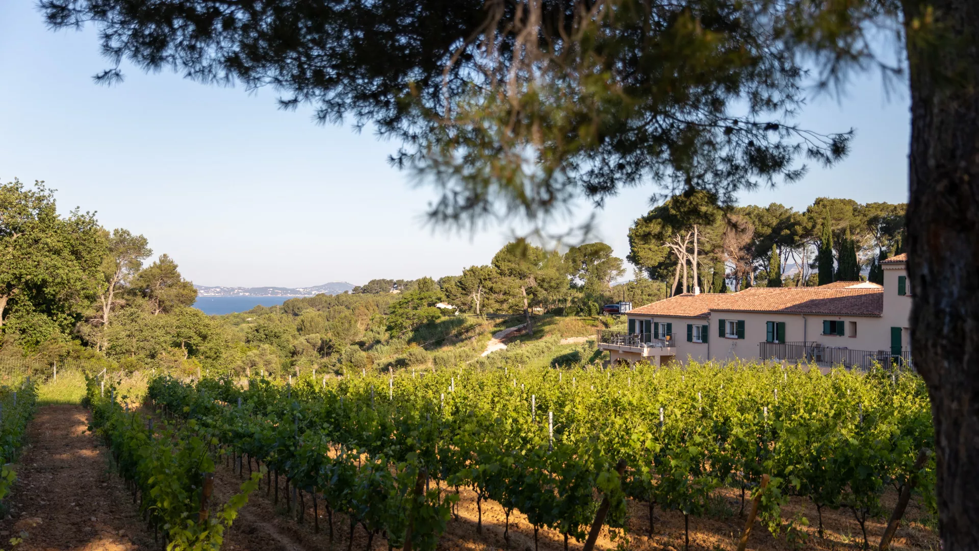 Domaine de la Navicelle