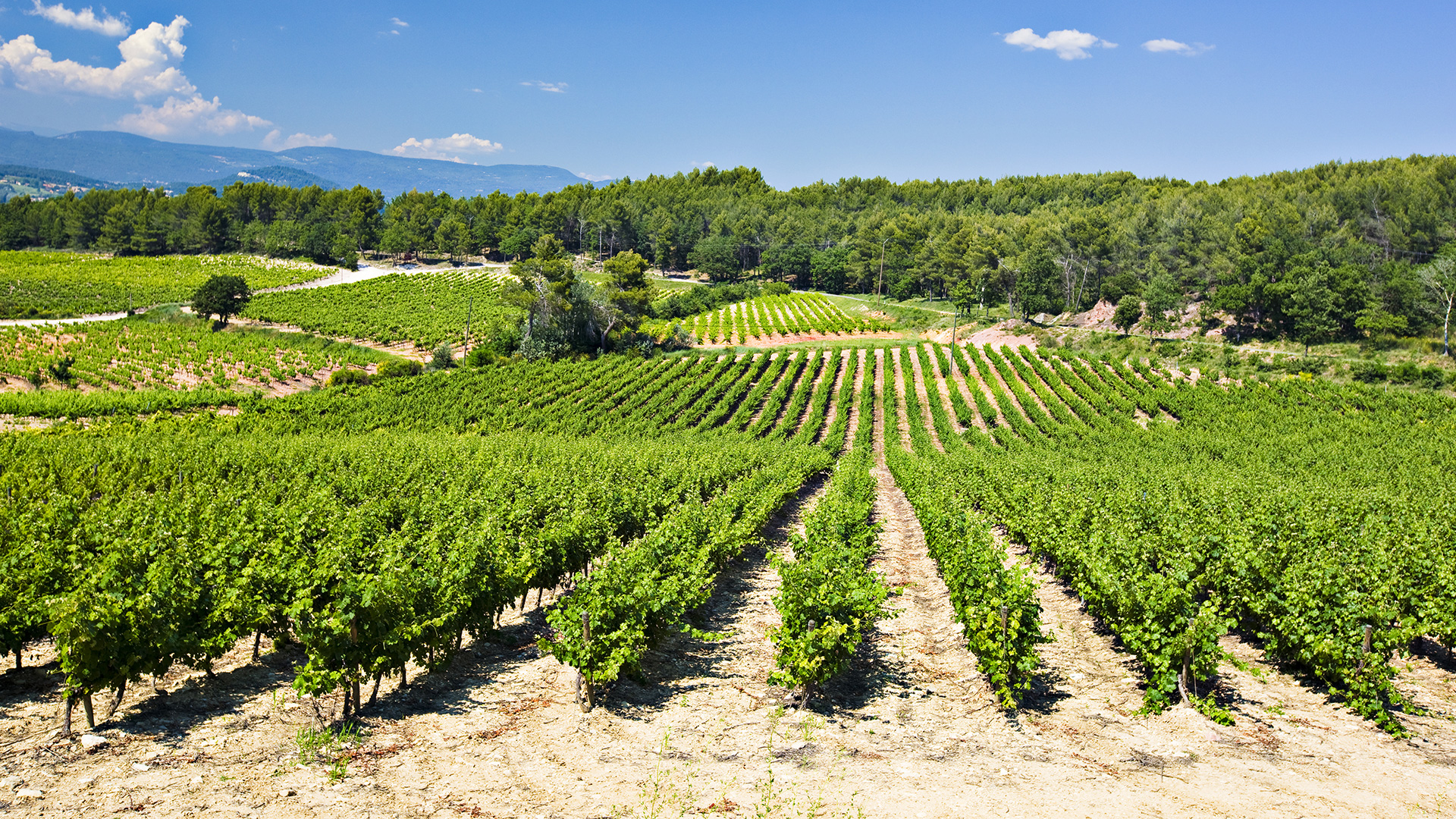 Domaine de la Seigneurie
