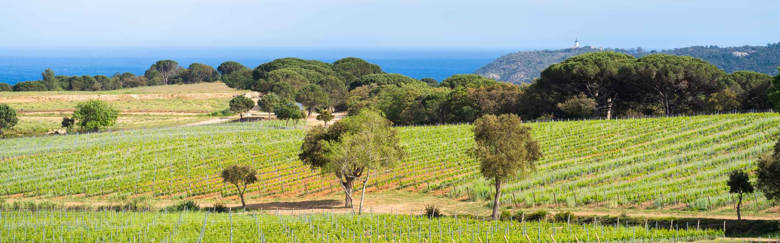 Domaine de Pascati