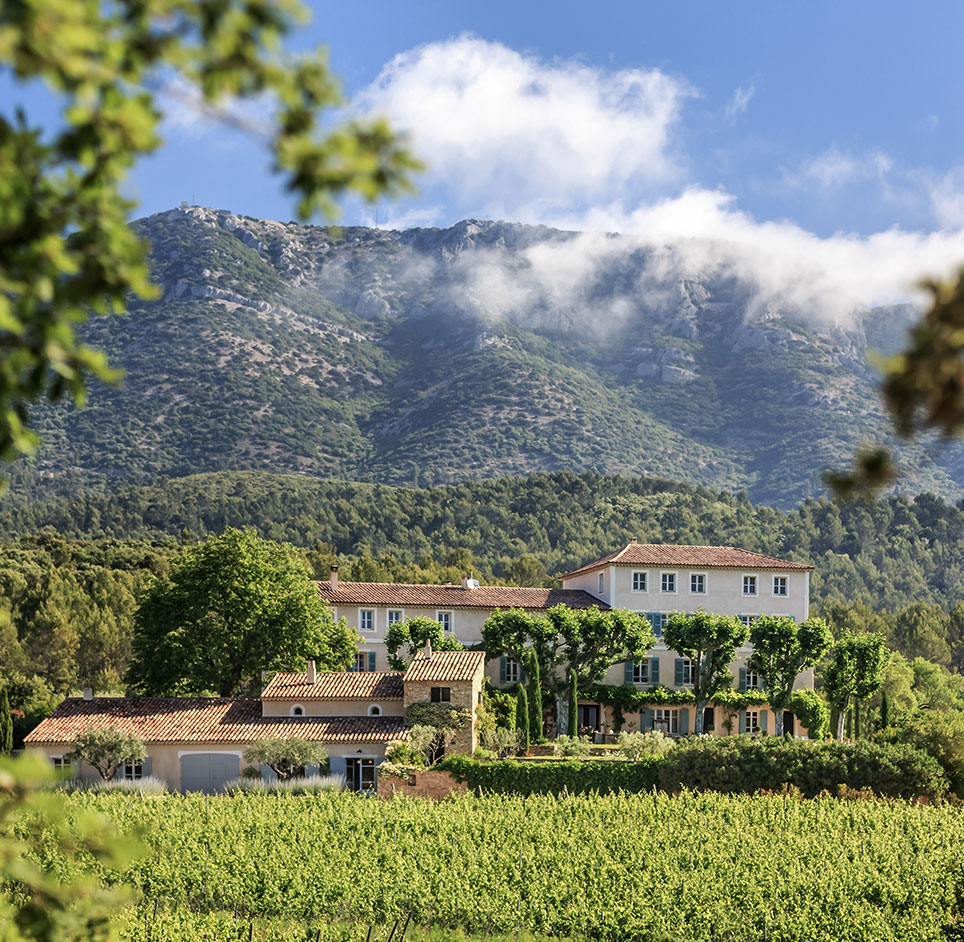 Domaine de Saint Andrieu