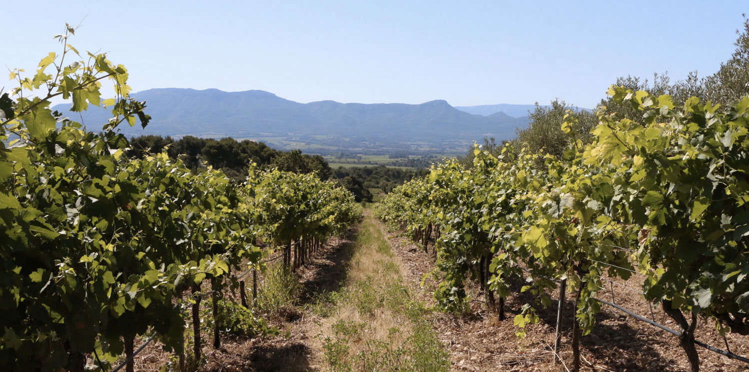 Domaine de Saint Ser