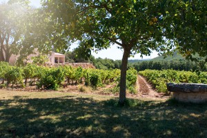 Domaine de St Baillon