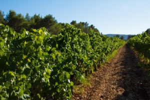 Domaine de Vire Vent