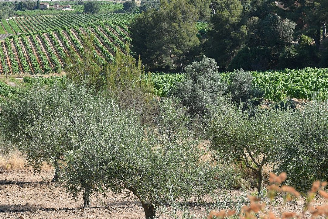Domaine des Myrtes