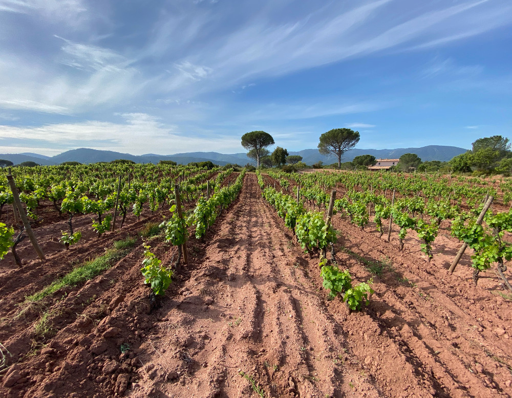 Domaine des Nibas