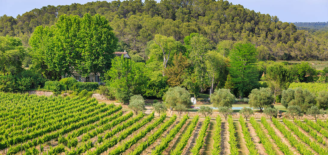 Domaine des Sarrins