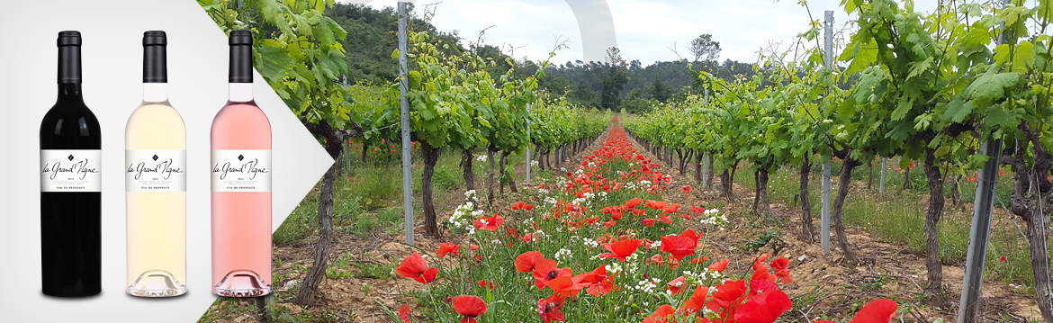 Domaine la Grand Vigne