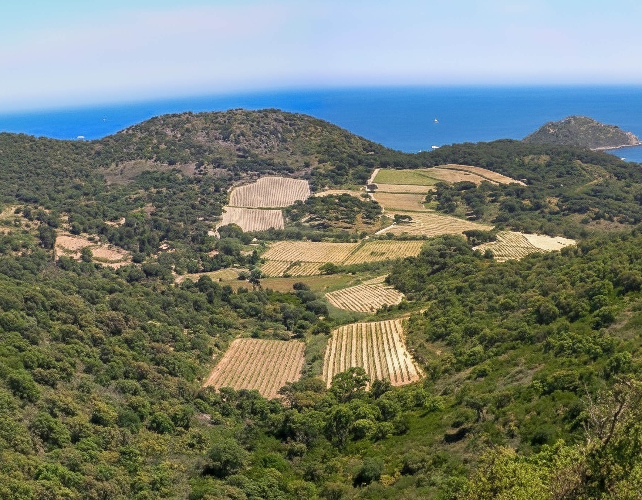 Domaine la Tourraque