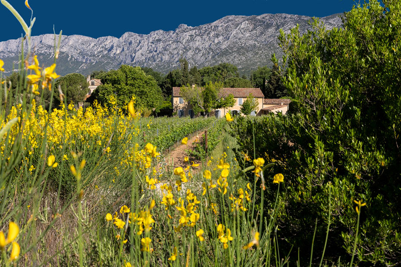 Domaine le Loup Bleu