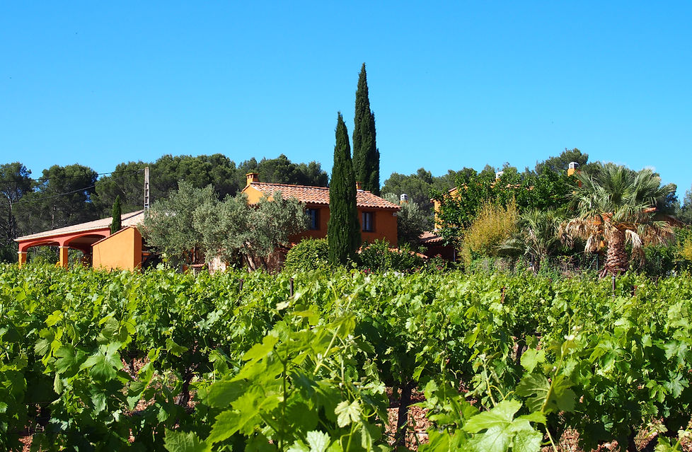 Domaine Lolice
