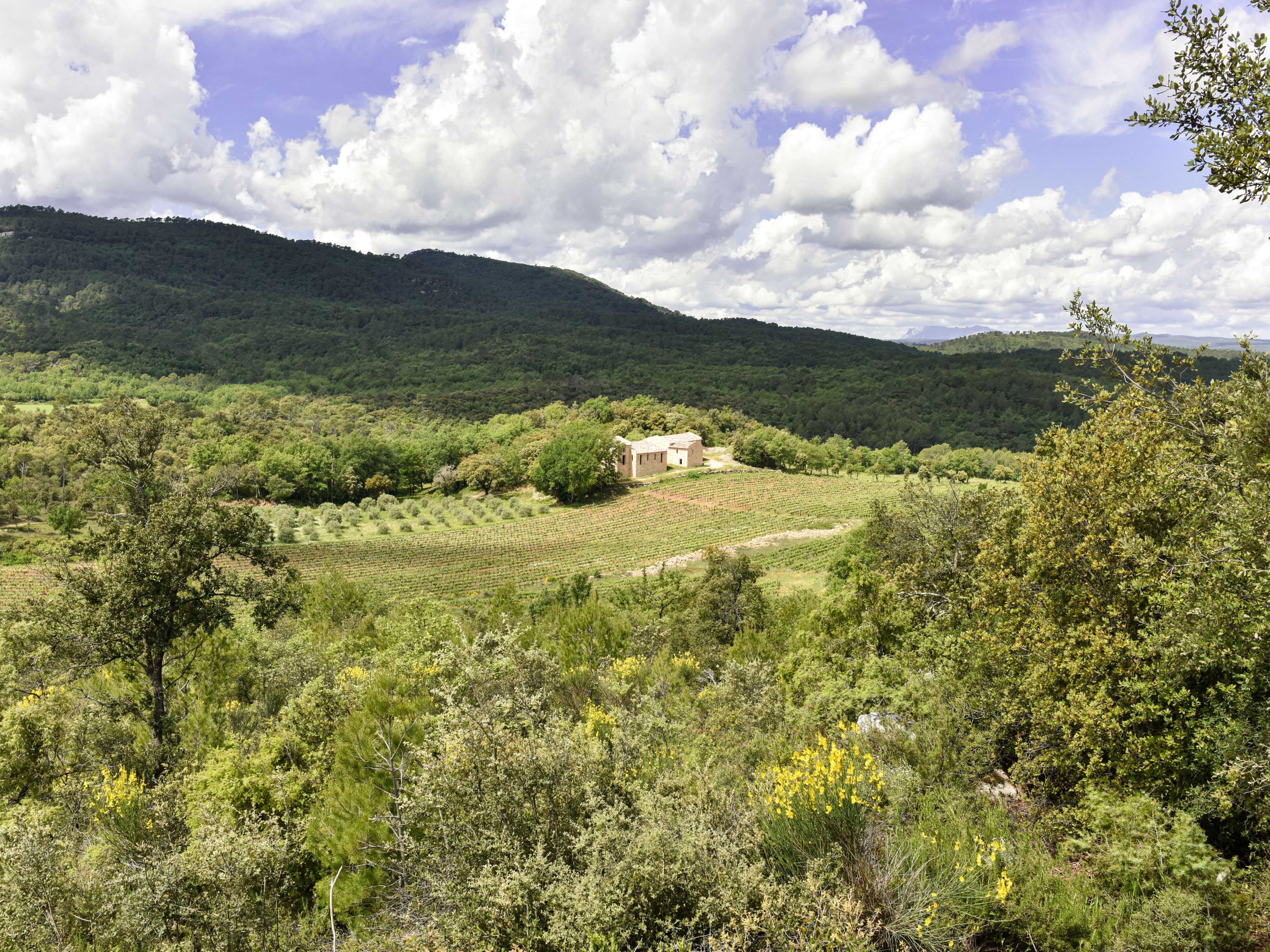 Domaine Mira Luna