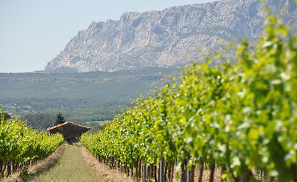 Domaine Pinchinat