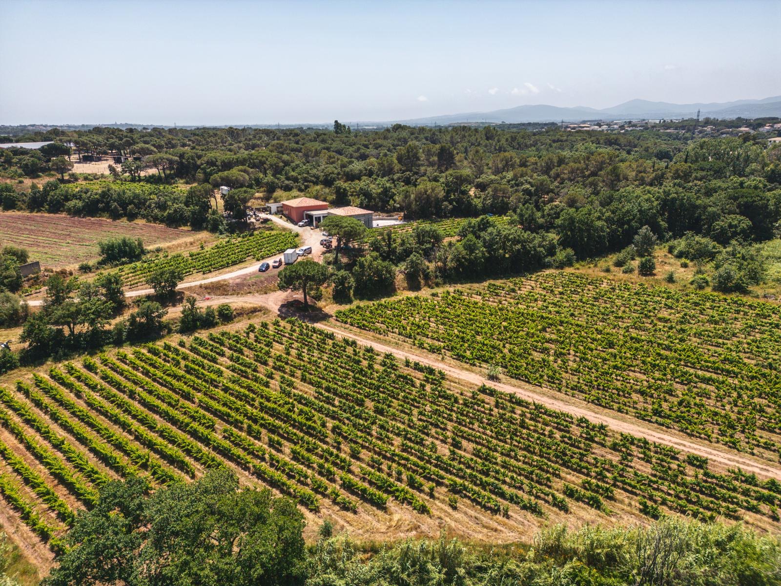 Domaine Réal Saint Jean