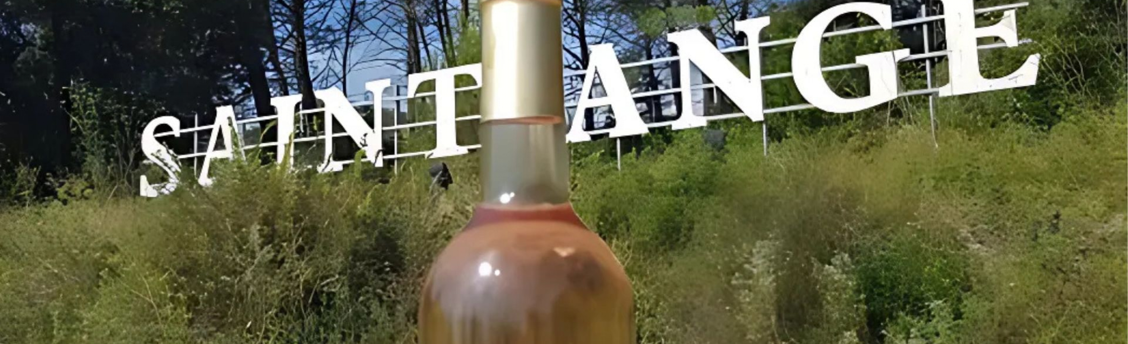 Domaine St Ange