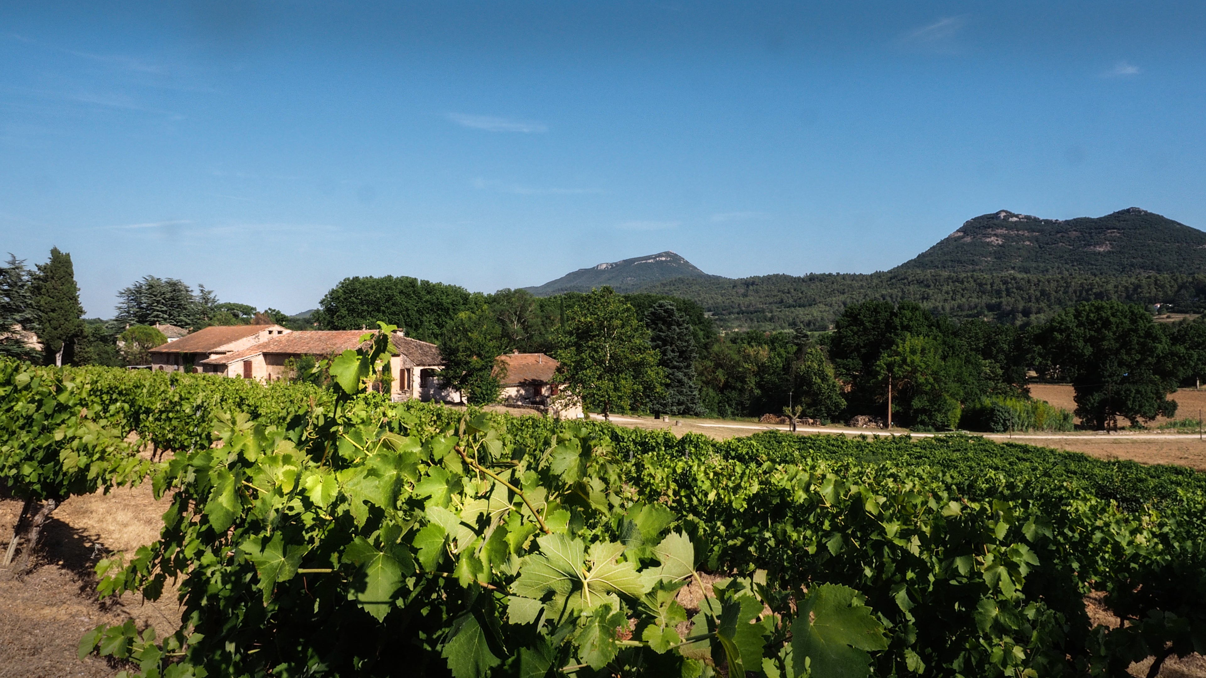 Domaine St Ferreol