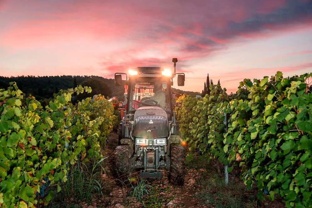 Domaine St Jean